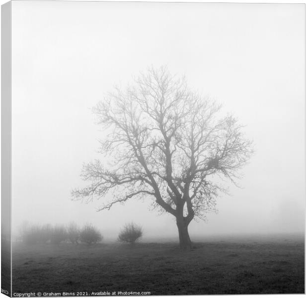 Towering – Wellands Lane Tree In Fog Canvas Print by Graham Binns