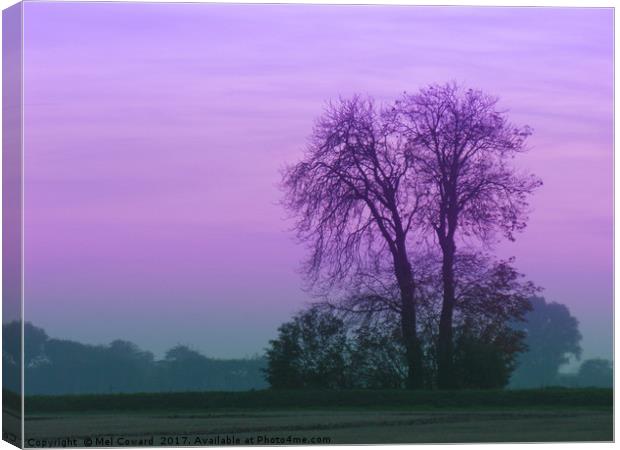 Lilac Sky as the Crows Fly Canvas Print by Mel Coward