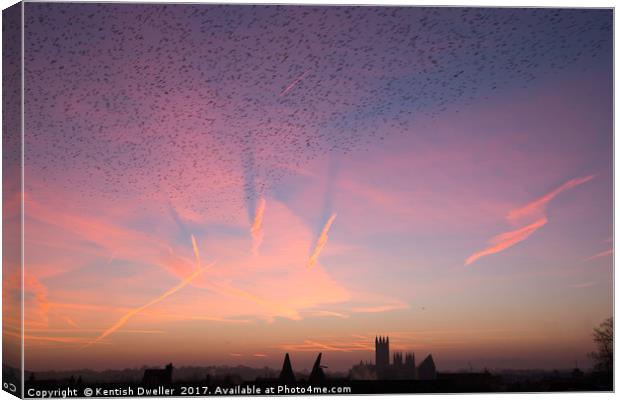 Canterbury Cathedral Dawn and a Flock of Starlings Canvas Print by Kentish Dweller