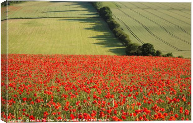 Poppies on the North Downs Canvas Print by Kentish Dweller