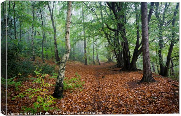 Oldbury Hill Canvas Print by Kentish Dweller