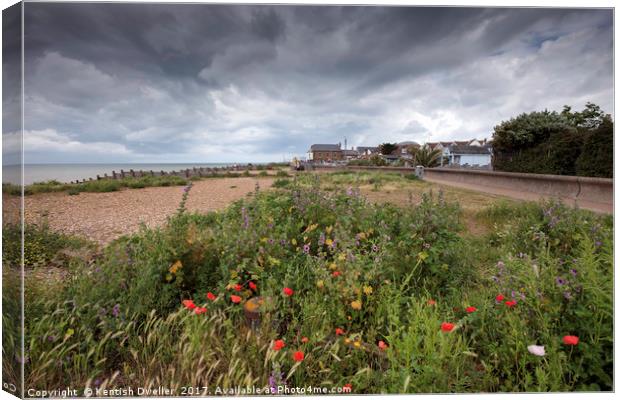 Wild Flowers on West Beach, Whitstable Canvas Print by Kentish Dweller