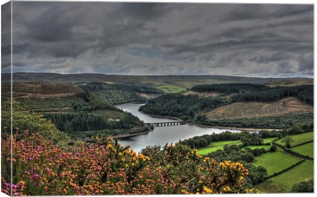 Garreg Ddu, Elan Valle from the Gorse covered hill Canvas Print by Sorcha Lewis