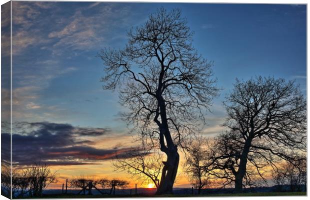 Sunset soldiers Canvas Print by Sorcha Lewis