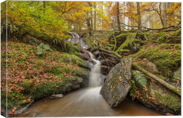 Nant Gwyllt Waterfall Autumn touches, Elan Valley Canvas Print by Sorcha Lewis