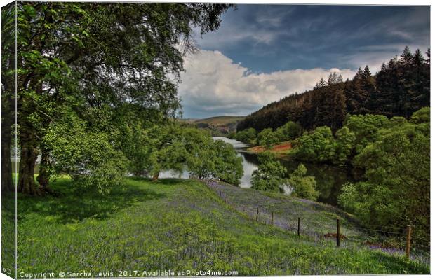 Bluebell Meadow to Penygarreg Dam Canvas Print by Sorcha Lewis