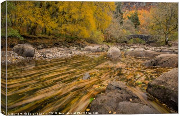 Autumn Rivers in Liquid Gold - Elan Valley Canvas Print by Sorcha Lewis