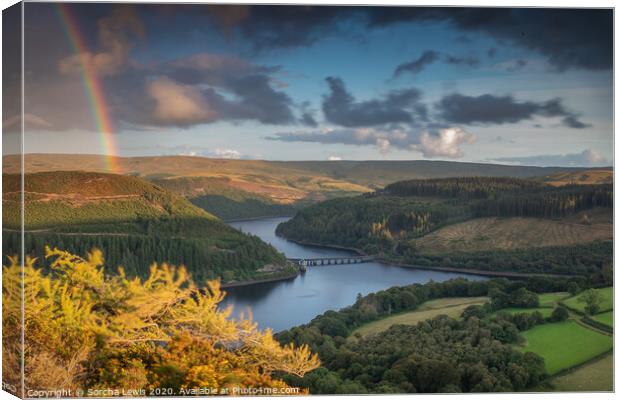 Welsh Gold in the Elan Valley Canvas Print by Sorcha Lewis