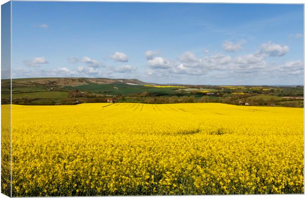 Springtime in East Sussex Canvas Print by Ed Brown