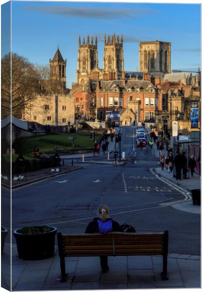 Bench with a view, York Minster, Yorkshire England Canvas Print by John Hall