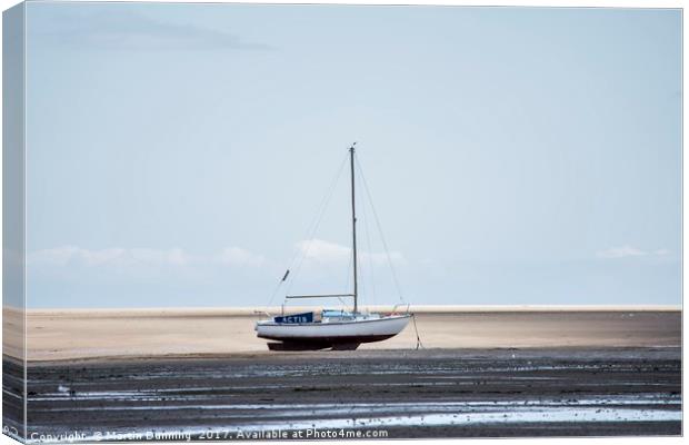 Cleathorpes Beach Low Tide Canvas Print by Martin Dunning