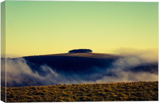 Rolling fog, windgreen near Shaftsbury Dorset/Wilt Canvas Print by Lisa Strange