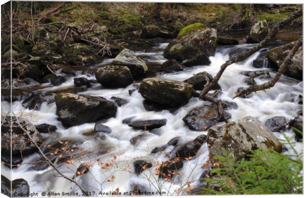 Babbling Brook Canvas Print by Allan Smillie