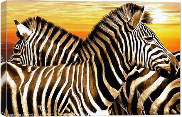 Sentry Duty of the Zebra Canvas Print by David Mccandlish