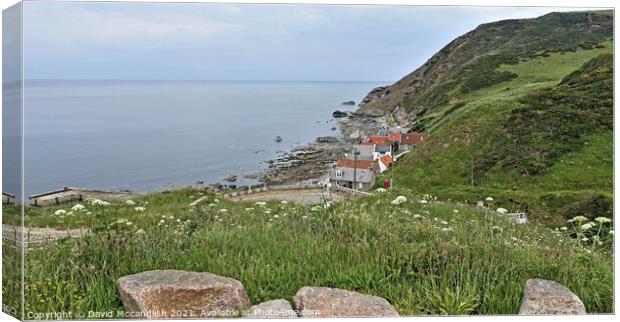 Crovie Village Canvas Print by David Mccandlish