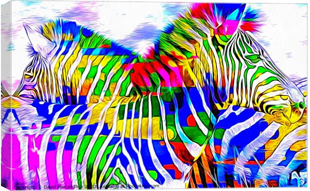 Resting Zebras A Contemporary Art Piece Canvas Print by David Mccandlish