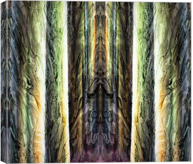 4 Forest Gods Canvas Print by David Mccandlish