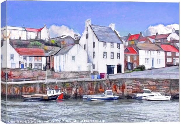 Crail Harbour					 Canvas Print by David Mccandlish