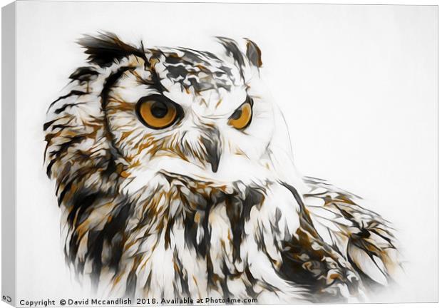 Eagle Owl Canvas Print by David Mccandlish