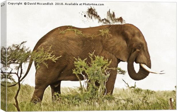Elephant Earth Dousing Canvas Print by David Mccandlish