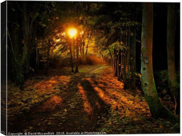 Sunset Walks Canvas Print by David Mccandlish