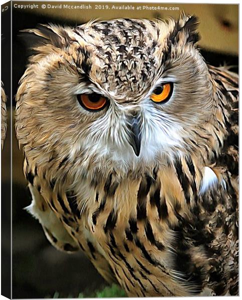 Eagle Owl European Canvas Print by David Mccandlish