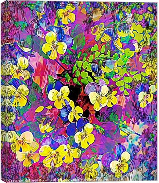 Violas Canvas Print by David Mccandlish