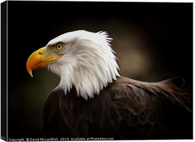 American Bald Eagle Canvas Print by David Mccandlish