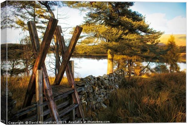 Ardinning Loch Canvas Print by David Mccandlish