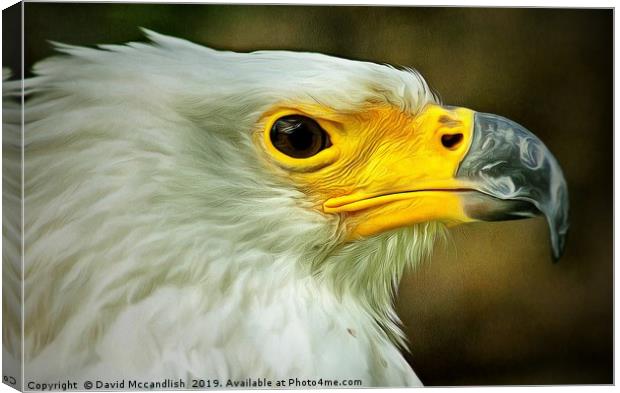 American Bald Eagle Canvas Print by David Mccandlish