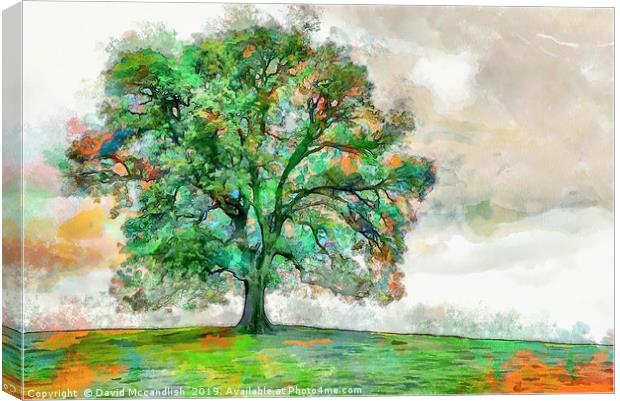 The Mighty Oak Canvas Print by David Mccandlish