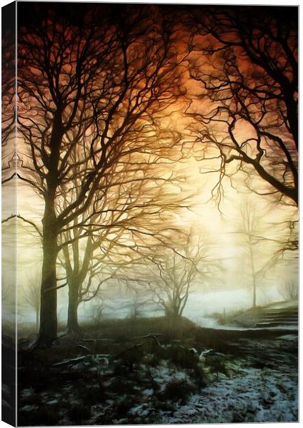 Woods in Winter Fog Canvas Print by David Mccandlish