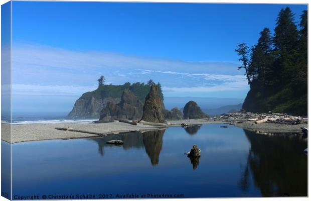 May Your Love Grow - Ruby Beach View  Canvas Print by Christiane Schulze