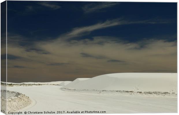 Absolute Silence Canvas Print by Christiane Schulze