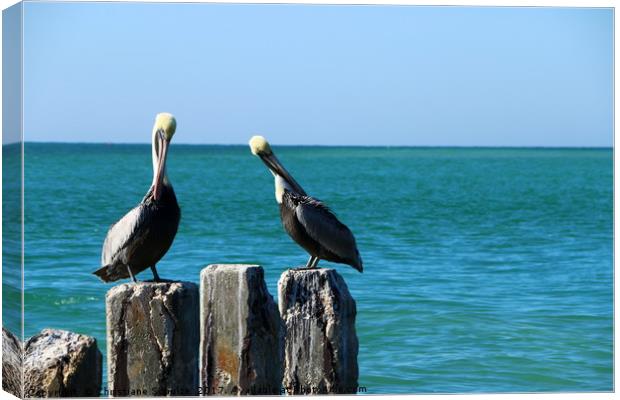 Two Old Guys On A Jetty Canvas Print by Christiane Schulze