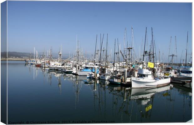 Harbour At Half Moon Bay  Canvas Print by Christiane Schulze