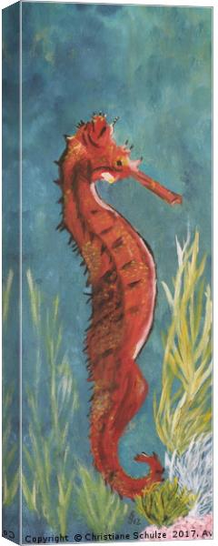 Red Seahorse Canvas Print by Christiane Schulze
