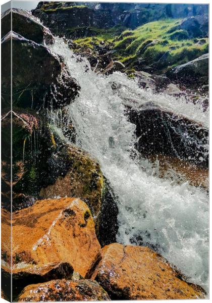 Majestic Ben Nevis Waterfall Canvas Print by Mathew Rooney