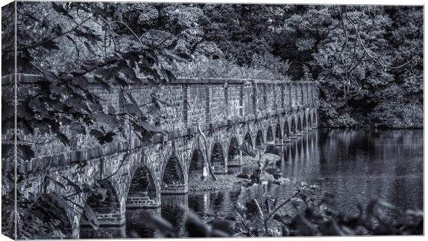 The nineteen arches at Carr Mill Dam St Helens Canvas Print by Andrew George