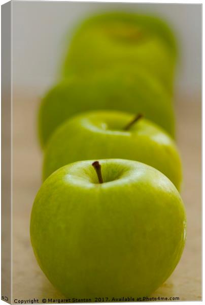 Green Apple line up  Canvas Print by Margaret Stanton