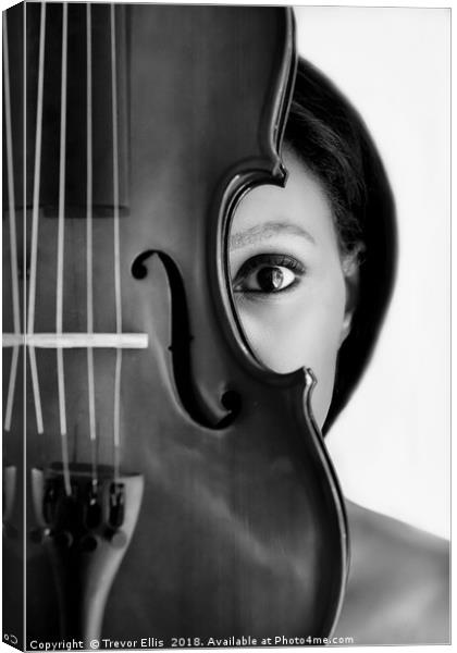 An Eye for Music Canvas Print by Trevor Ellis