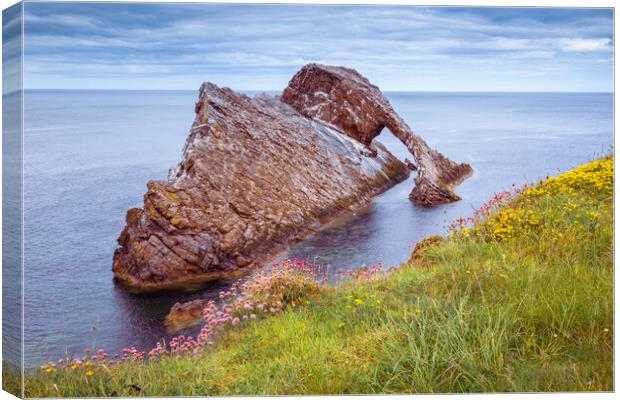 Bow Fiddle Rock at Portknockie Canvas Print by John Frid