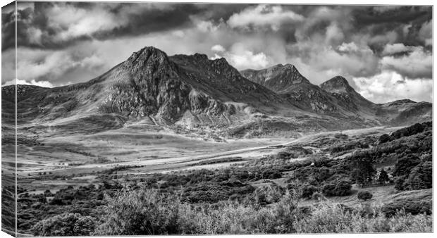 Ben Loyal Canvas Print by John Frid