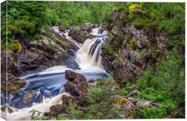 Rogie Falls - Ross and Cromarty Canvas Print by John Frid
