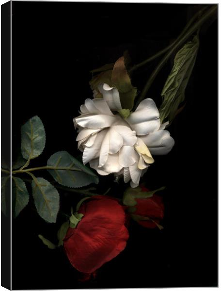 War of the Roses Canvas Print by Laura Benstead