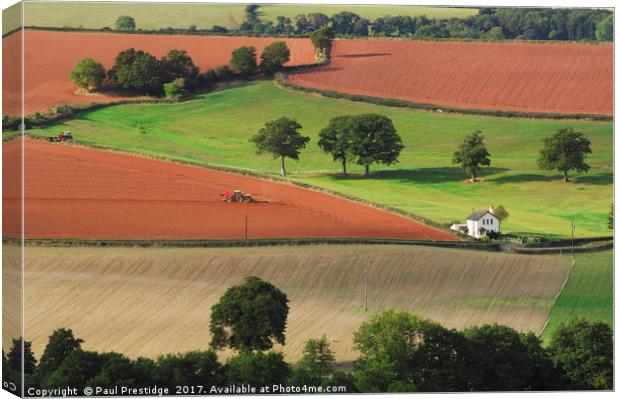 Landscape Near Cullompton, Devon Canvas Print by Paul F Prestidge