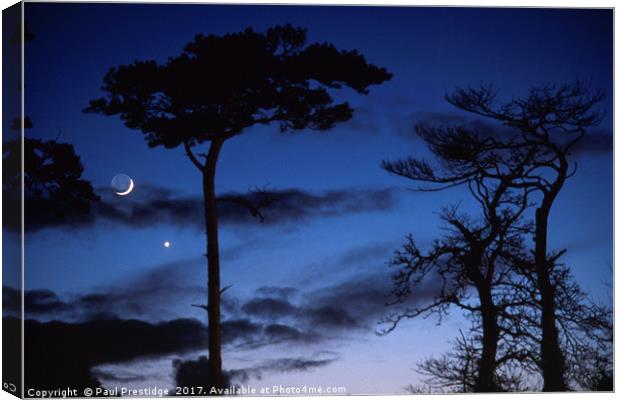 Moon and Trees in Winter Canvas Print by Paul F Prestidge