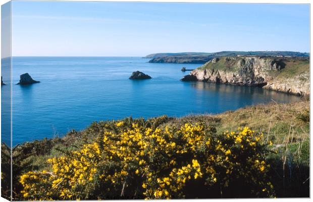 View from Berry Head Canvas Print by Paul F Prestidge