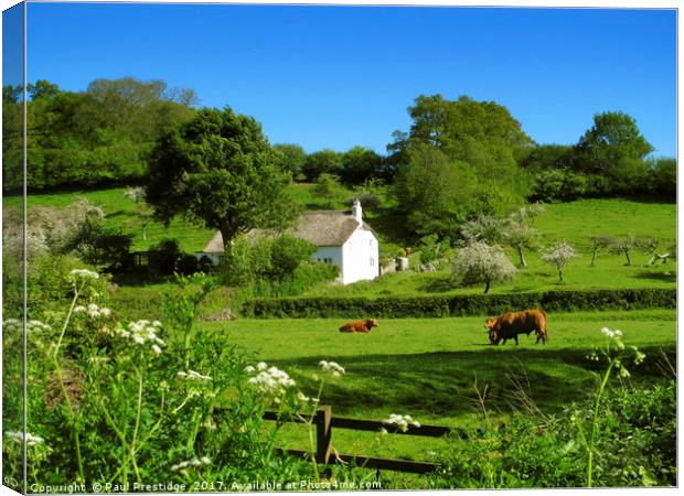         Pastoral Scene near Littlehempston         Canvas Print by Paul F Prestidge