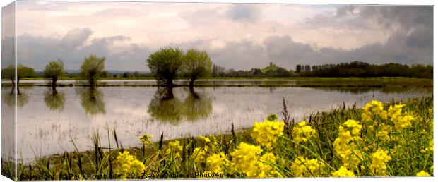 Flood in Somerset Levels Canvas Print by Paul F Prestidge